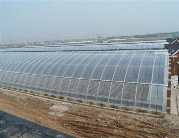 冬暖式温室大棚