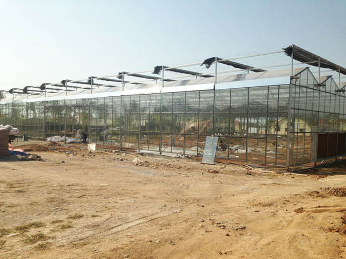 冬暖式温室大棚