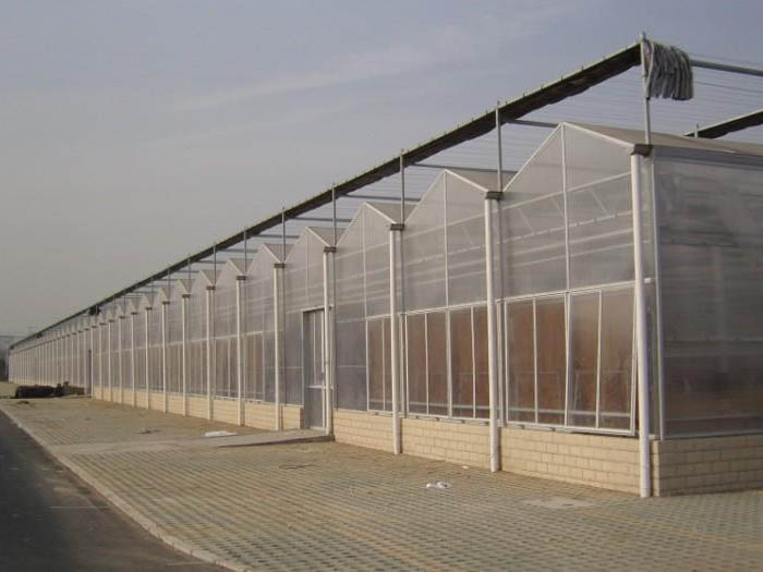 冬暖式温室大棚