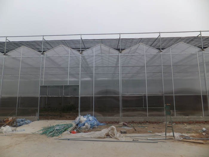 冬暖式温室大棚