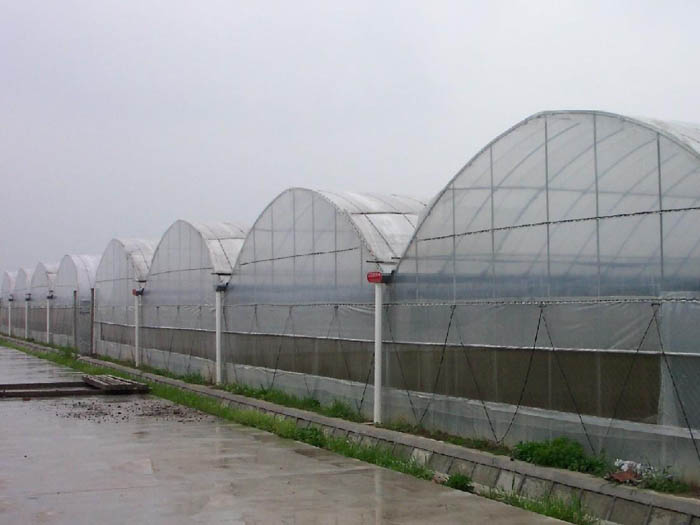 冬暖式温室大棚