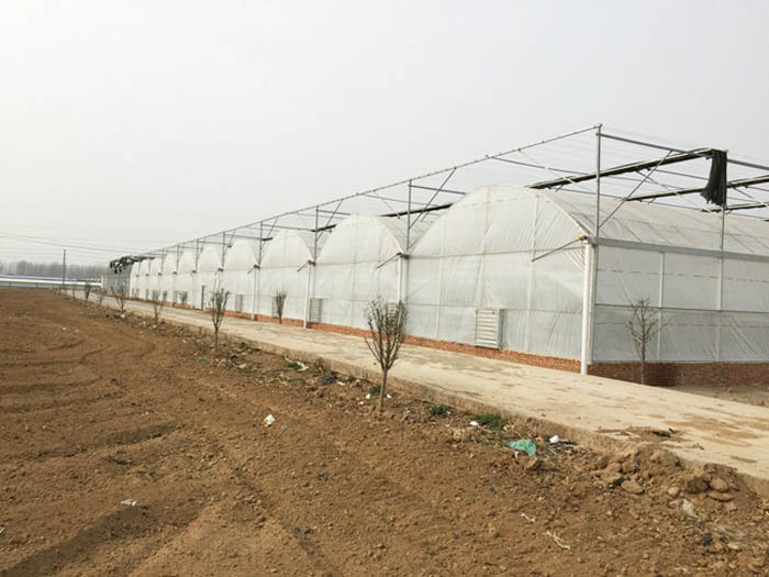 冬暖式温室大棚
